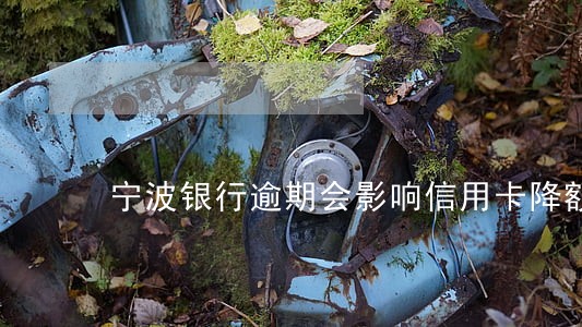 宁波银行逾期会影响信用卡降额吗