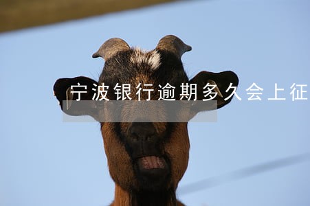 宁波银行逾期多久会上征信 宁波银行逾期多久会上征信