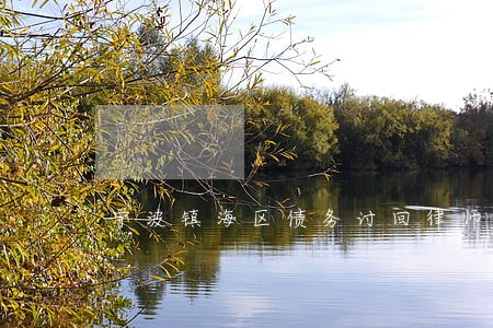 宁波镇海区债务讨回律师 宁波镇海区债务讨回律师