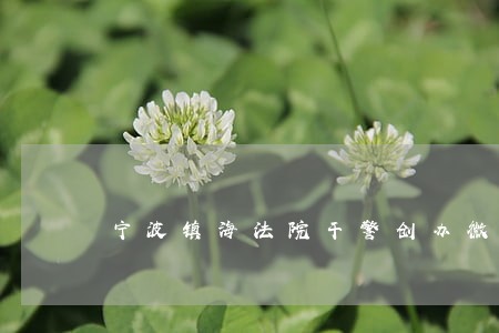 宁波镇海法院干警创办微助学平台 宁波镇海法院干警创办微助学平台