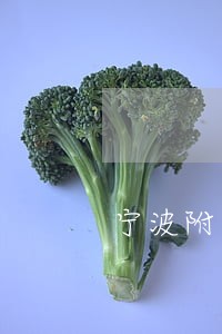 宁波附近彩礼纠纷律师费用标准