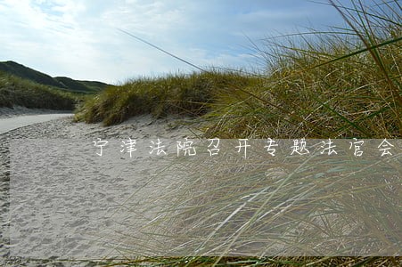 宁津法院召开专题法官会议 宁津法院召开专题法官会议