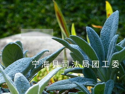 宁海县司法局团工委
