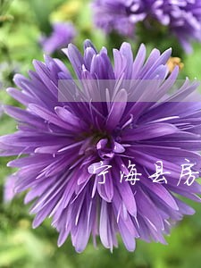 宁海县房产司法拍卖网 宁海县房产司法拍卖网