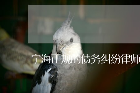宁海正规的债务纠纷律师律所 宁海正规的债务纠纷律师律所