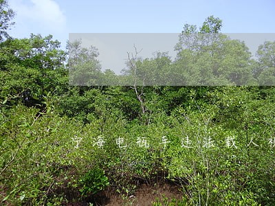 宁海电瓶车违法载人视频 宁海电瓶车违法载人视频