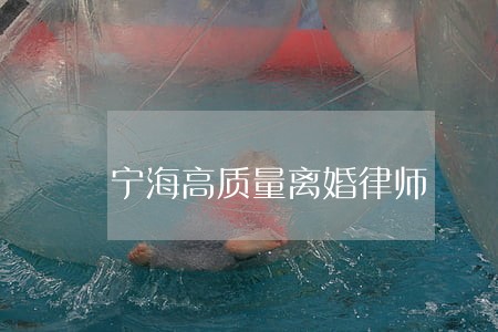 宁海高质量离婚律师 宁海高质量离婚律师