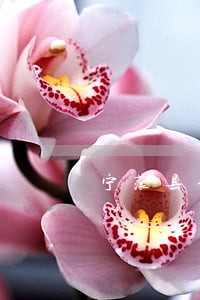 宁蒗县金融证券法律咨询热线 宁蒗县金融证券法律咨询热线