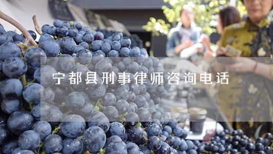 宁都县刑事律师咨询电话 宁都县刑事律师咨询电话