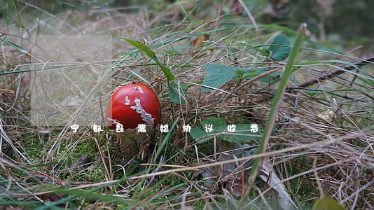 宁都县离婚协议收费 宁都县离婚协议收费