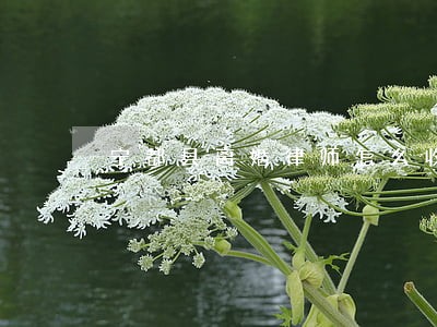 宁都县离婚律师怎么收费 宁都县离婚律师怎么收费