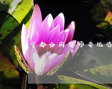 宁都合同律师委托咨询 宁都合同律师委托咨询