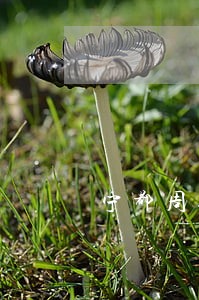 宁都周边专业的取保候审律师 宁都周边专业的取保候审律师