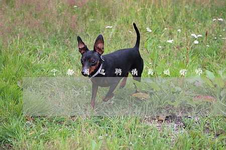 宁都周边聘请离婚律师 宁都周边聘请离婚律师