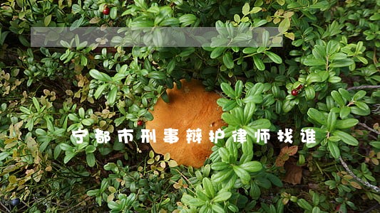 宁都市刑事辩护律师找谁 宁都市刑事辩护律师找谁