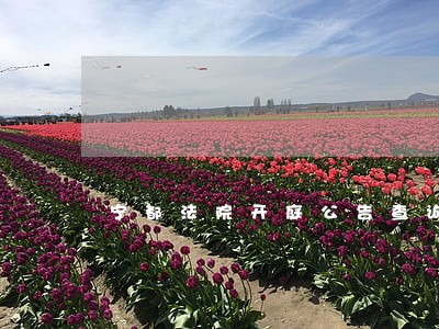宁都法院开庭公告查询 宁都法院开庭公告查询