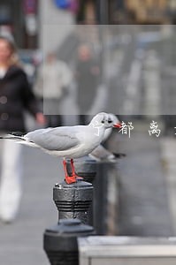 宁都离婚律师联系电话 宁都离婚律师联系电话