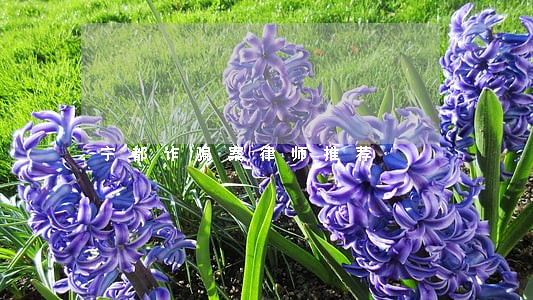 宁都诈骗案律师推荐 宁都诈骗案律师推荐