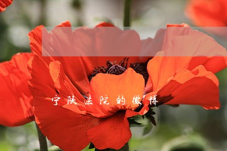 宁陕法院的微博 宁陕法院的微博