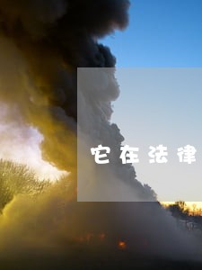 它在法律上的意义是什么 它在法律上的意义是什么