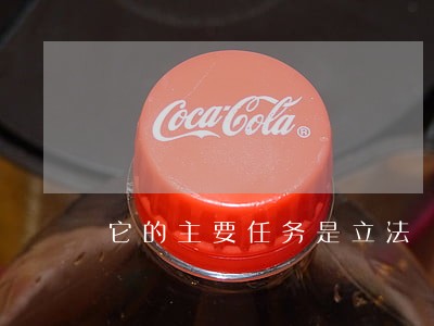 它的主要任务是立法 它的主要任务是立法