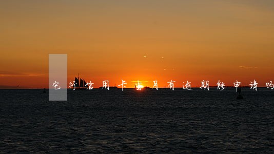 它行信用卡当月有逾期能申请吗 它行信用卡当月有逾期能申请吗