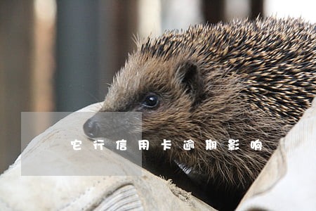 它行信用卡逾期影响 它行信用卡逾期影响