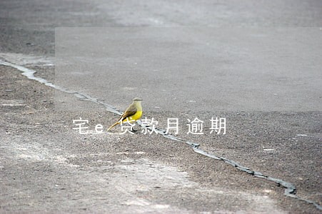 宅e贷款月逾期 宅e贷款月逾期