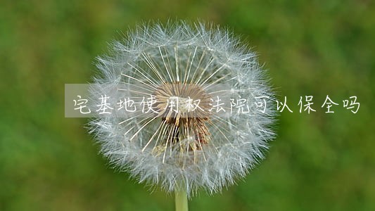 宅基地使用权法院可以保全吗