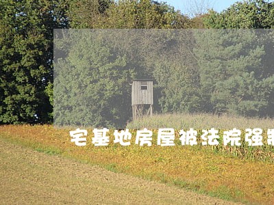 宅基地房屋被法院强制执行 宅基地房屋被法院强制执行