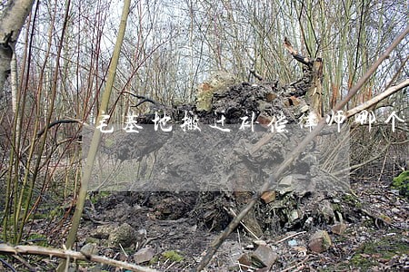 宅基地搬迁补偿律师哪个好 宅基地搬迁补偿律师哪个好
