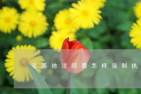 宅基地法院要怎样强制执行 宅基地法院要怎样强制执行