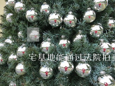 宅基地能通过法院拍卖吗 宅基地能通过法院拍卖吗