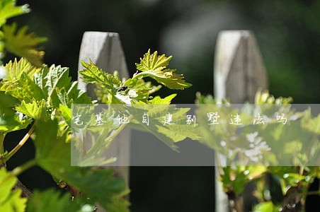 宅基地自建别墅违法吗 宅基地自建别墅违法吗