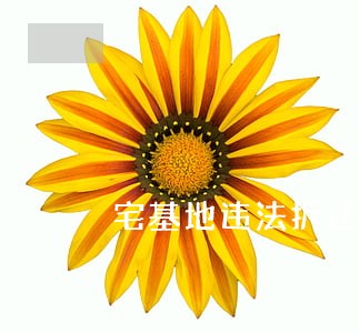 宅基地违法拆迁 宅基地违法拆迁