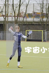 宇宙小镇律师 宇宙小镇律师