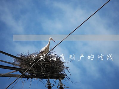 守好国有财产的防线 守好国有财产的防线