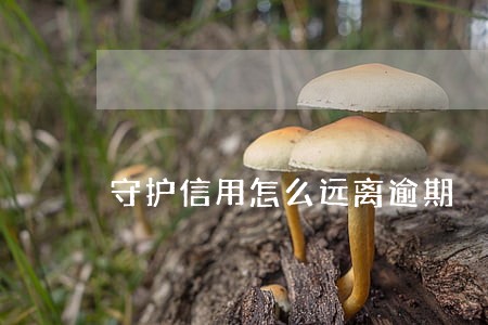 守护信用怎么远离逾期 守护信用怎么远离逾期