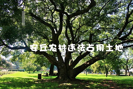 安丘农村违法占用土地 安丘农村违法占用土地