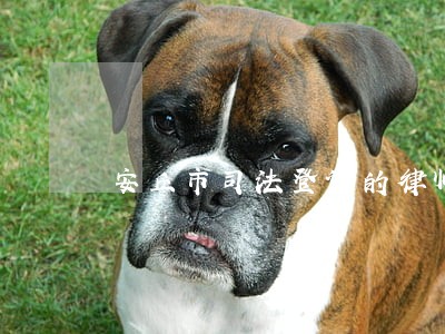 安丘市司法登记的律师 安丘市司法登记的律师