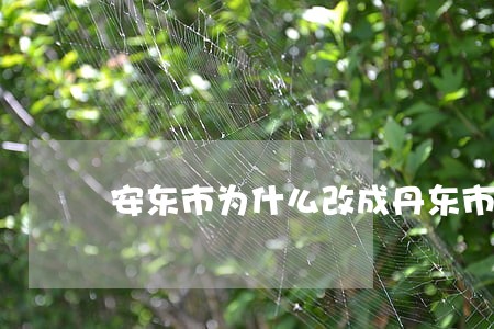 安东市为什么改成丹东市 安东市为什么改成丹东市