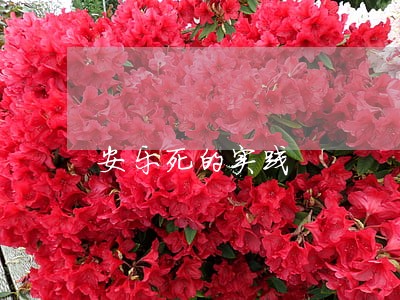 安乐死的实践