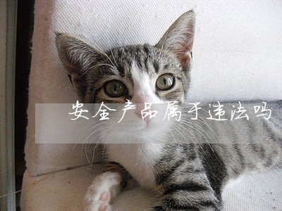 安全产品属于违法吗 安全产品属于违法吗