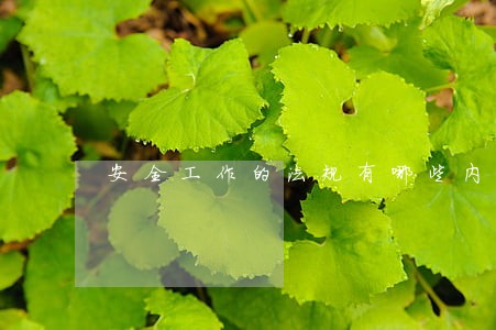 安全工作的法规有哪些内容