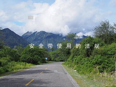 安全带使用的法规
