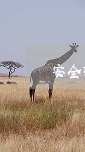 安全标准化安全法规清单 安全标准化安全法规清单