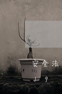 安全法心得体会/2023021054419