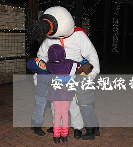 安全法规依据