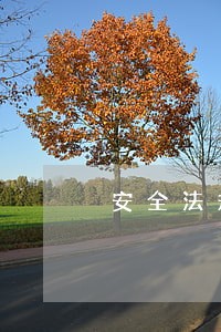 安全法规定什么依照宪法规