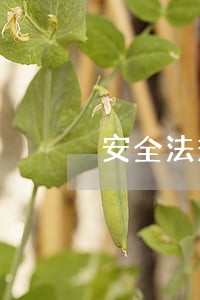 安全法规符合性 安全法规符合性